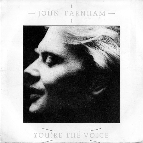 You're The Voice cover image