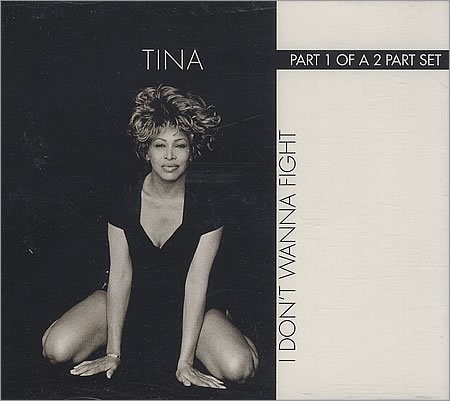 I Don't Wanna Fight cover image