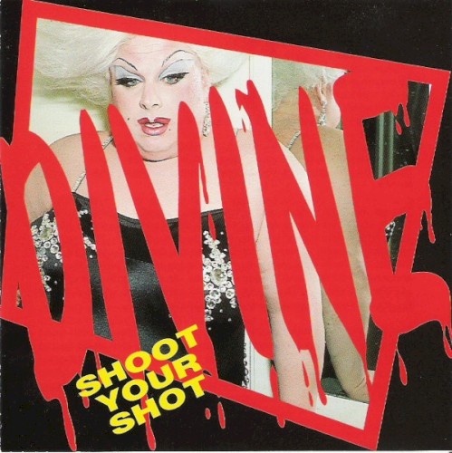 Shoot Your Shot cover image